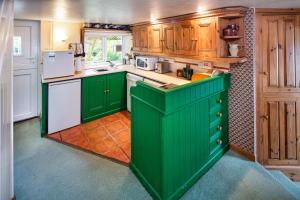 a kitchen with green cabinets and white appliances at Upper Cottage Newcastle Emlyn in Cwm-pengraig