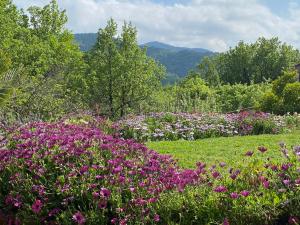 een tuin vol met paarse bloemen in een veld bij La Suite, Les Hautes Roches in Collobrières