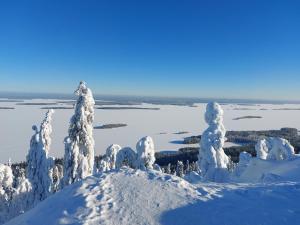 Το Holiday Home Honkakoli 1 τον χειμώνα