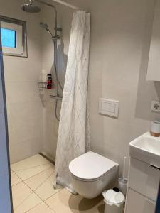 łazienka z toaletą i prysznicem w obiekcie Nussknackerhaus w mieście Sankt Kanzian