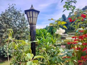 una luz de la calle en un jardín con flores en THE RETREAT PEILING en Pemayangtse