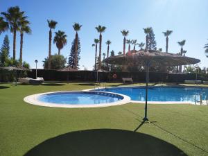 a swimming pool with an umbrella and palm trees at Apartamentos Vistamar Marina D'Or 1º línea 3000 in El Borseral