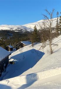 a snow covered roof of a house with mountains in the background at Norefjell, ny flott hytte til leie in Surteberg