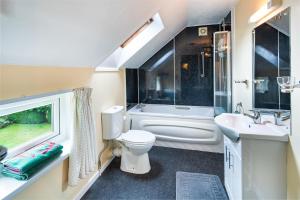a bathroom with a toilet and a tub and a sink at Lower Cottage Newcastle Emlyn in Cwm-pengraig +11 photos