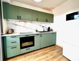 eine Küche mit grünen Schränken und einem Waschbecken in der Unterkunft AA P Terrasse de Stella in Nizza