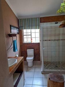 La salle de bains est pourvue de toilettes, d'une douche et d'un lavabo. dans l'établissement Mongoose Haven, à Marloth Park