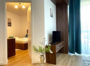 a room with a television and a bedroom with a bed at Sinaia Walter 20 Apartment w Paid Pool and Free Parking in Sinaia +16 photos