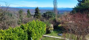 a view of a garden with bushes and trees at Villa Maison de campagne 04 Vacheres Luberon 3 chambres 8 personnes in Vachères
