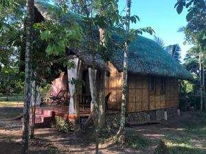 eine kleine Hütte mit einem Strohdach in einem Wald in der Unterkunft Maison bamboo, in Pila