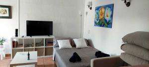ein Wohnzimmer mit einem Sofa und einem Flachbild-TV in der Unterkunft Precioso apartamento silencioso y céntrico in Fuengirola