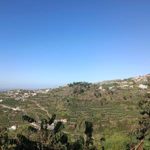 Afbeelding uit fotogalerij van Casa Bela Vista Studio 1 in Ribeira Brava