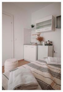 Fotografie z fotogalerie ubytování Arias Apartments v destinaci Nea Kallikratia