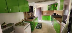una cocina verde con armarios verdes y fregadero en La PAPAYERAIE, en Le Marin