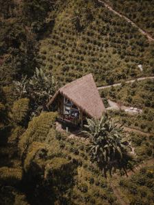 una vista aerea di una piccola casa su una collina di ATTRAVERSIAMO BAMBOO HOUSE a Manizales