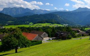 ein grünes Feld mit Häusern und Bergen im Hintergrund in der Unterkunft Bio Ferienbauernhof Greber in Schwarzenberg im Bregenzerwald