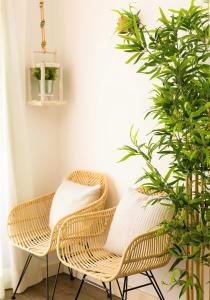 Fotografia z galérie ubytovania Beautiful One Bedroom Ground Floor Apartment - VeraLuna v destinácii Tías