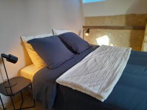 a bed with blue and yellow pillows in a room at Hôtel des arts- Gîte cinéma dans le Perche - Spa in Rémalard