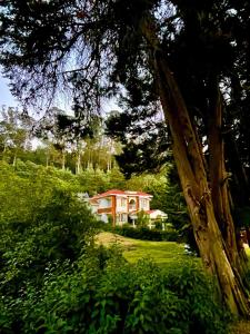 une maison au milieu d'un champ avec un arbre dans l'établissement Narmada Holiday Home, à Ooty