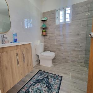 a bathroom with a toilet and a sink and a mirror at TropicalvacationvillaEYS in Punta Cana