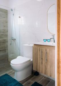 a bathroom with a toilet and a sink and a mirror at TropicalvacationvillaEYS in Punta Cana