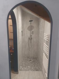 La salle de bains est pourvue d'une douche avec un pommeau de douche. dans l'établissement L'Orangerie, à Idron