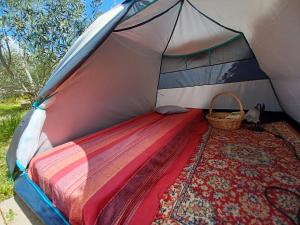 ein Bett in einem Zelt mit einer Katze darin in der Unterkunft Hostel Vela Vega in Butera