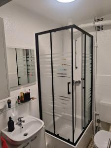 ein Bad mit einer Dusche und einem Waschbecken in der Unterkunft Brunswick Central Charm: Cozy City Room! in Braunschweig