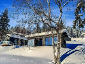 una casa nella neve con un albero di Holiday Home Rakkaranta a- lentäjän poika 1 by Interhome a Hyrynsalmi