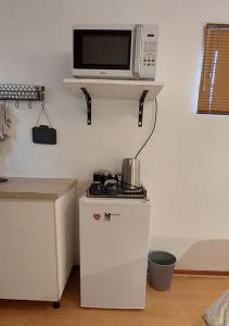- un four micro-ondes sur une étagère au-dessus d'un petit réfrigérateur dans l'établissement Studio garden cottage, au Cap