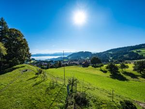 um campo de relva verde com o sol no céu em Holiday Home Laderen 7 by Interhome em Oberegg