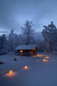 a cabin with lights in the snow at night at Holiday Home Laattajan hirsipirtti by Interhome in Hyrynsalmi