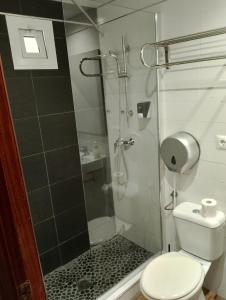 a bathroom with a shower and a toilet at PENSION CIBELES in Córdoba