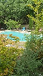 une piscine bleue dans un jardin arboré dans l'établissement Séjour détente en Provence, à Ventabren