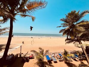 a bird flying over a beach with palm trees at Jardim a Mar in Agonda
