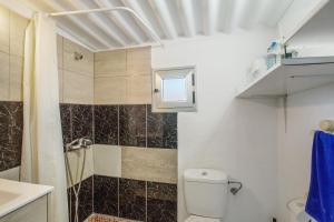 a bathroom with a toilet and a shower at Cuevas Lomo La Palma in San Bartolomé