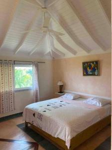 a bedroom with a bed with a ceiling fan at Villa Águila in Las Terrenas