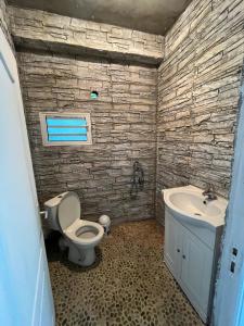 聖貝努瓦的住宿－Ti case bord de mer，一间带卫生间和水槽的浴室