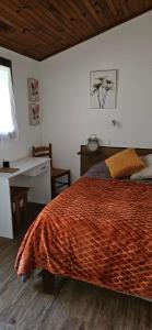 a bedroom with a bed and a desk and a desk at Chalet d'une chambre avec jardin clos et wifi a Tarascon sur Ariege in Tarascon-sur-Ariège