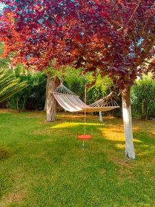 Zahrada ubytování Olia Apartments S