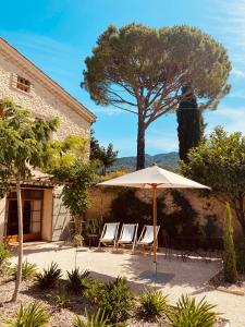 a patio with chairs and an umbrella and a tree at La Bastide des Oliviers Provence - Mirabel aux Baronnies in Mirabel-aux-Baronnies