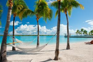 a hammock on a beach with palm trees at Blue Haven Resort- All Inclusive in Grace Bay