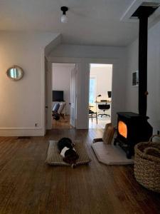 un perro tirado en una alfombra en una sala de estar en Bovina House, en Bovina Center