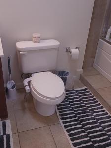 a bathroom with a white toilet and a rug at Blue Oasis in Dearborn