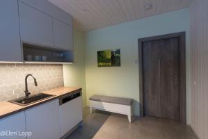 eine Küche mit einem Waschbecken und einer Holztür in der Unterkunft Paunküla Nature Resort in Kose