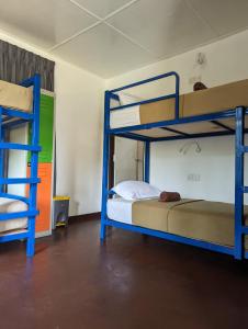 een slaapkamer met 2 stapelbedden in een kamer bij Hive Ella - Hostel in Ella