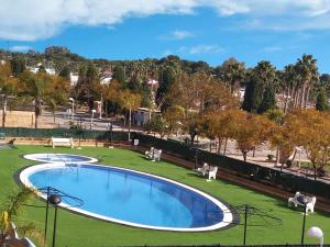 a swimming pool in a park with chairs and trees at Apartamentos Caribe Marina D’Or 3000 in Oropesa del Mar