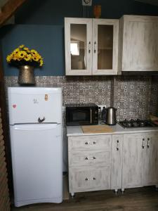 Apartment Milena Tbilisi Onebedroom في تبليسي: مطبخ مع ثلاجة بيضاء وميكرويف