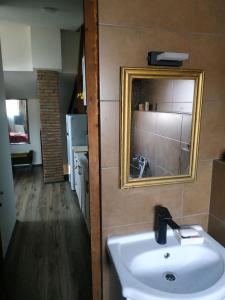 uma casa de banho com um lavatório e um espelho em Apartment Milena Tbilisi Onebedroom em Tbilisi