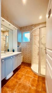 a bathroom with a shower and a sink and a tub at Ti Ma Zud/Vue mer/Wifi in Camaret-sur-Mer