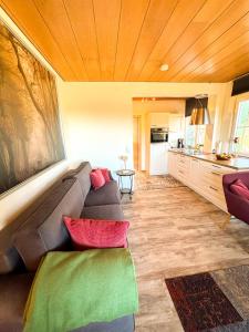 a living room with a couch and a kitchen at Schwarzwald-Chalet Feldberg in Feldberg